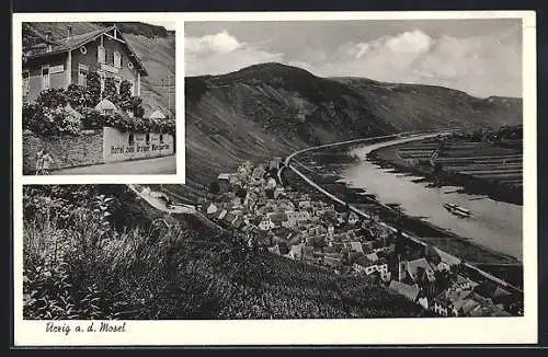 AK Ürzig a. d. Mosel, Hotel zum Ürziger Würzgarten, Inh. Wilhelm Loosen, Gesamtansicht