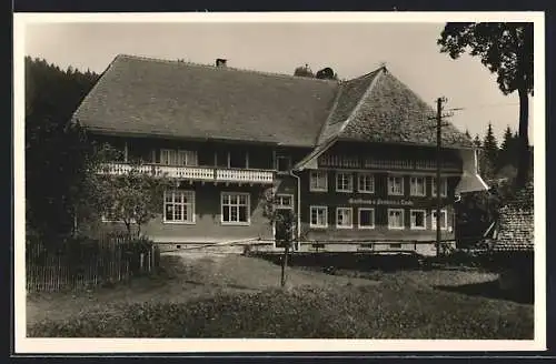 AK Menzenschwand /St. Blasien, Gasthof-Fremdenheim zur Linde