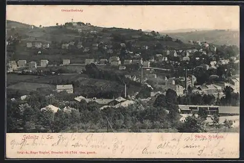 AK Sebnitz /Sa., Ortsansicht mit Grenadierburg