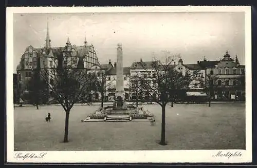 AK Saalfeld a. S., Marktplatz mit Denkmal