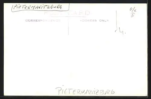 AK Durban, Jacarandas in Bloom