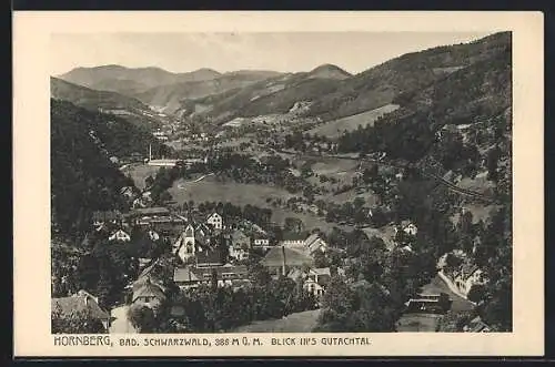 AK Hornberg / Schwarzwald, Ortsansicht mit Blick ins Gutachtal