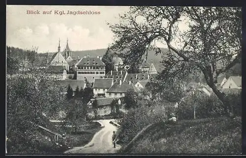 AK Bebenhausen, Blick zum Königlichen Jagdschloss