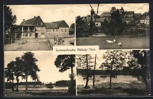 AK Pöllwitz, Gasthaus Reussischer Hof, Ortsansicht