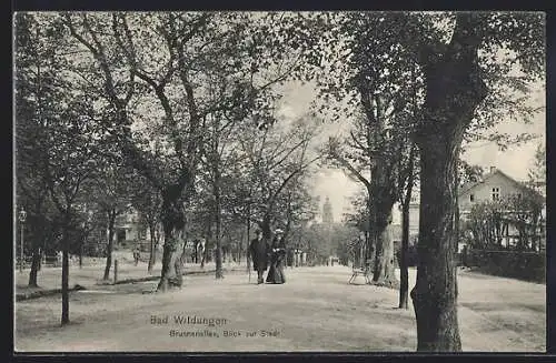 AK Bad Wildungen, Brunnenallee, Blick zur Stadt