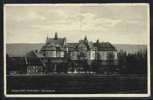 AK Dingelstädt /Eichsfeld, Oberlyzeum, von einem Feld gesehen