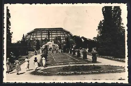 Foto-AK Berlin-Dahlem, Botanischer Garten, Blick auf das Grosse Tropenhaus