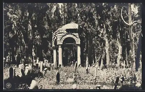 AK Constantinople, Monument du cheval au cimetière a Scutari