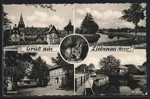 AK Liebenau /Weser, Löwinne, An der Aue, Wehr, Schloss