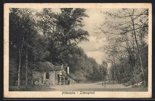 AK Hildesheim, Liebesgrund, Waldweg mit Gebäude