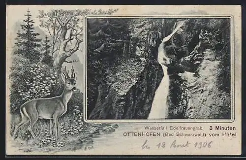 AK Ottenhöfen, Wasserfall Edelfrauengrab, Passepartout mit Reh