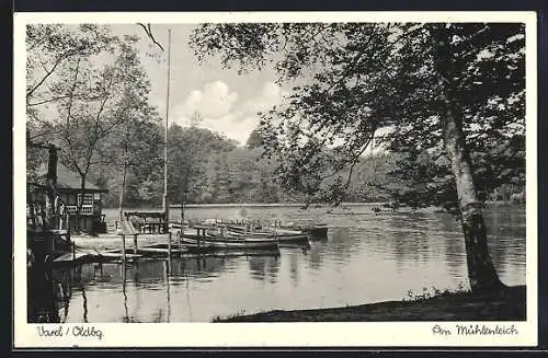 AK Varel /Oldbg., Am Mühlenteich