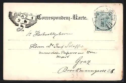 AK Wien, Blick in die Reichsraths-Strasse