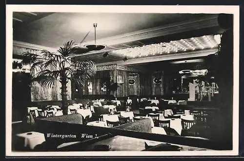 Foto-AK Wien, Blick in den Wintergarten, Wien 2