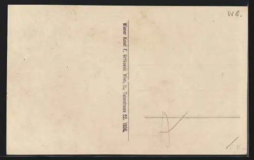 AK Wien, Partie an der Landesgerichtstrasse