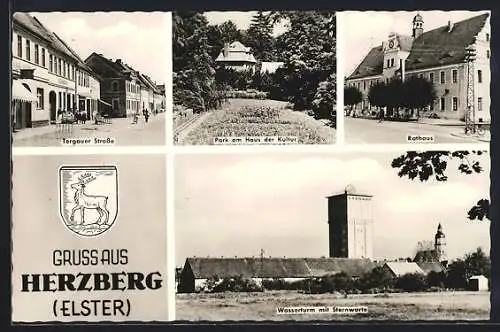 AK Herzberg / Elster, Wasserturm mit Sternwarte, Park am Haus der Kultur, Rathaus, Wappen