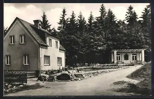 AK Lössnitz / Erzg., Berggasthaus & Fremdenheim Neu Friedrichsruh