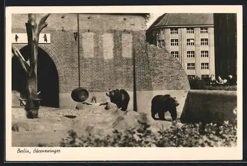 AK Berlin, Bärenzwinger mit Bären, Wallstrasse