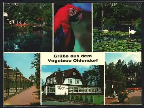 AK Oldendorf / Celle, Vogelzoo und Cafe Vogelparadies