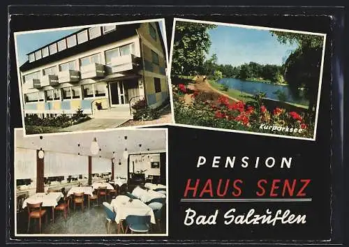 AK Bad Salzuflen, Pension Haus Senz, Am Ostpark 2a