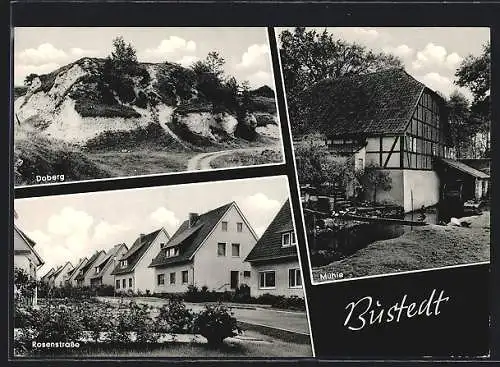 AK Bustedt, Doberg, Rosenstrasse, Mühle