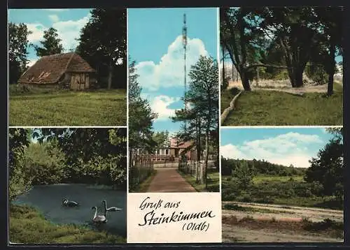 AK Steinkimmen, Gasthof Waldschänke Am Fernsehturm