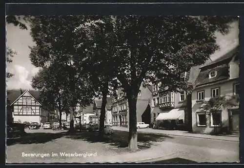 AK Beverungen /Weser, Strassenpartie mit Bäumen