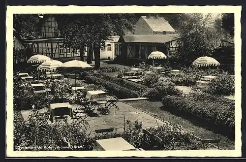 AK Neuhaus im Solling, Hotel Brauner Hirsch, Gartenanlage