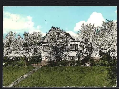 AK Boffzen /Weserbergland, Pension und Gasthof zum Sommerberg während der Baumblüte