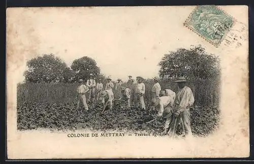 AK Mettray, Colonie de Mettray, Travaux agricoles