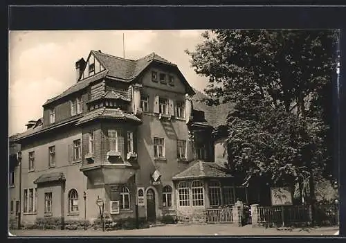 AK Hainsberg /Sa., Gasthaus HOG Bc.-Hainsberg im Sonnenschein