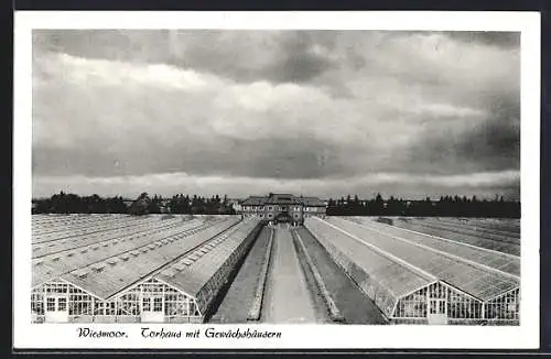 AK Wiesmoor, Torhaus mit Gewächshäusern