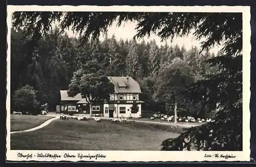 AK Oberhof / Th., Waldkaffee mit belebtem Garten