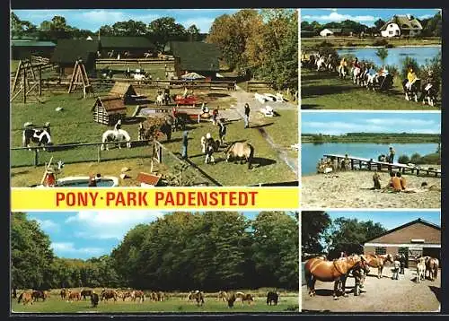 AK Padenstedt /Holst., Pony-Park, Badestrand, Pferdestall und Ausritt