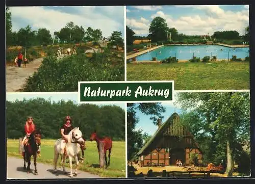 AK Aukrug / Innien, Oles Hus, Boxberg, Badeanstalt in Innien, Ausritt