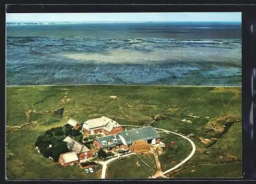 AK Hallig Langeness, Honkenswarf vom Flugzeug aus