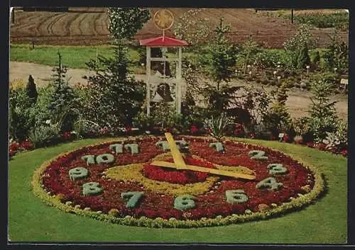 AK Elmshorn i. H., Die Blumenuhr im Schaugarten der Firma Horstmann & Co.