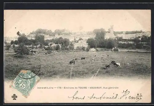 AK Vouvray, vue générale avec les vaches dans les champs au premier plan