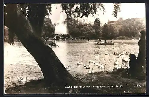 AK Mexico, Lago di Chapultepec