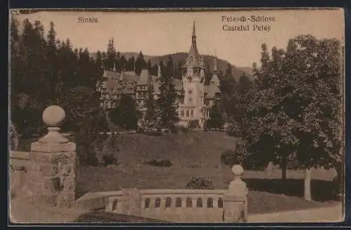 AK Sinaia, Pelesch-Schloss mit Anlagen