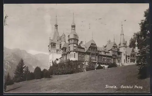 AK Sinaia, Castelul Peles