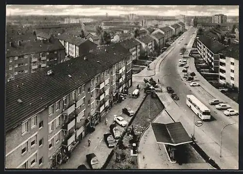 AK Köln-Nippes, Strassenpartie mit Autos aus der Vogelschau