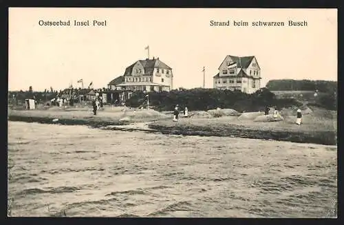 AK Insel Poel, Strand beim schwarzen Busch