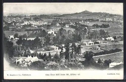 AK One Tree Hill, Panorama from Mt. Eden