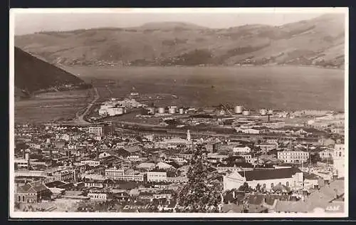 AK Dunedin, Panorama