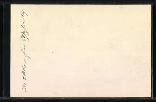Künstler-AK Les Mamelucks, L`aigle et sa garde, 1807