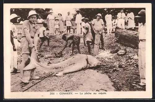 AK Conakry, La pêche au requin