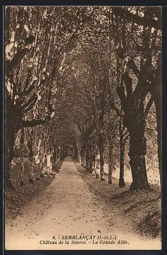 AK Semblancay /Indre-et-Loire, Château de la Source, La Grande Allée