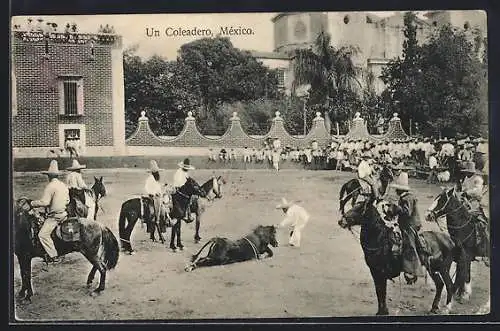 AK México, Un Coleadero