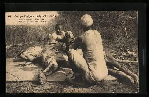 AK Belgisch-Congo, Jäger nach der Löwenjagd mit ihrer Beute